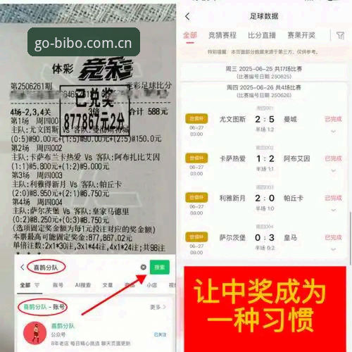 必博体育官网认证下载全流程详解与数据对比分析